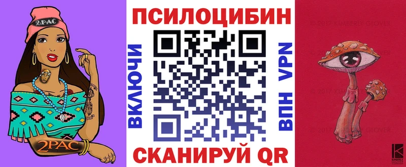 Псилоцибиновые грибы Psilocybine cubensis  Абдулино 
